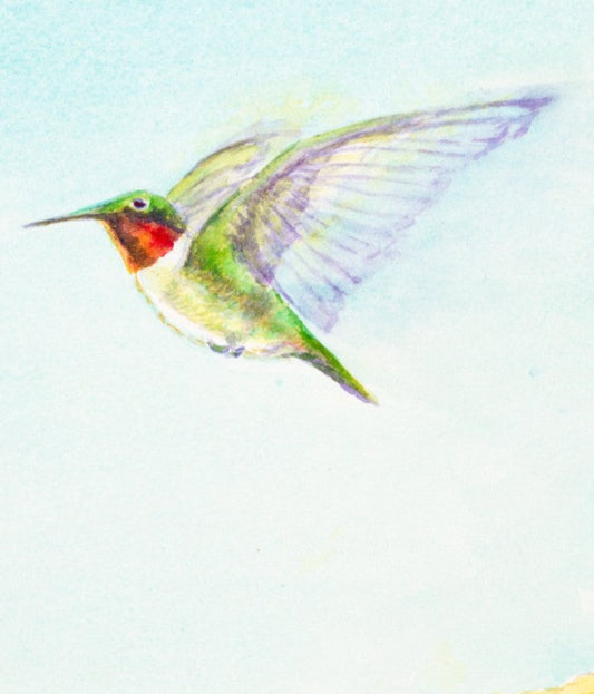 "Ruby-throated Hummingbird", Original Watercolor Painting,  *price available upon request*