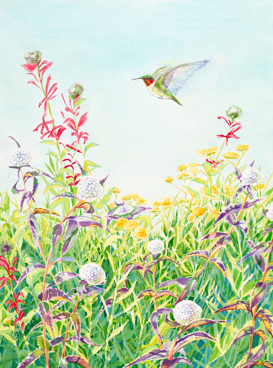 "Ruby-Throated Hummingbird" ā Matted Garden Watercolor Print, Ready to Frame