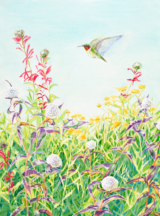 "Ruby-throated Hummingbird" Ready to Go! (18"x24")Fine Art Print