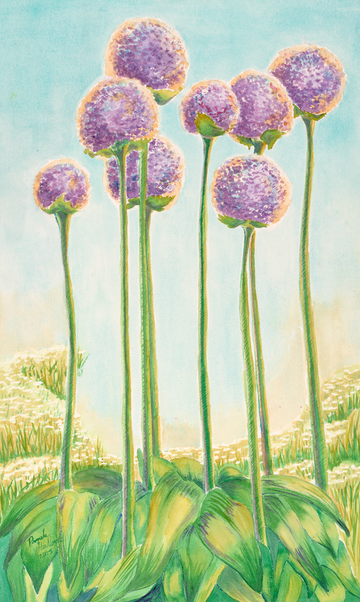 "Signs of Spring", Allium Blooms – Floral Watercolor Print | Fine Art by Pamela Hallock