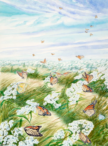 "The Butterfly Dance"– Monarch Butterfly Watercolor Print | Georgian Bay Fine Art by Pamela Hallock