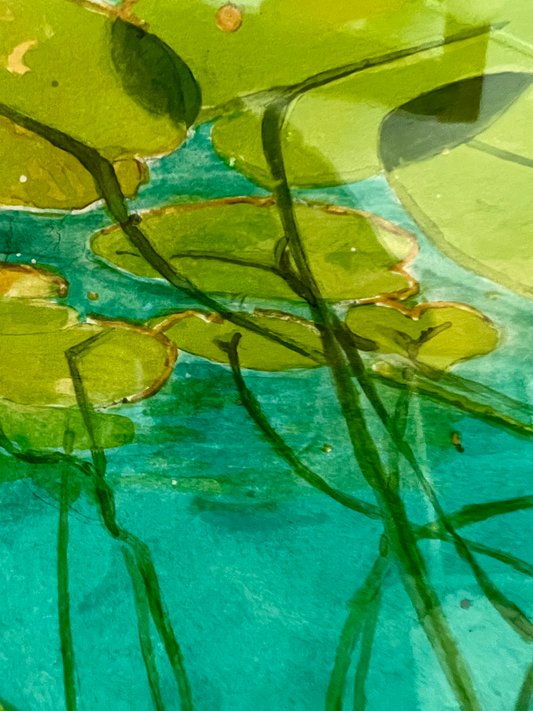 "Lilies in Frog Bay" – Matted Watercolor of Aquatic Turtle & Lilies, Ready to Frame