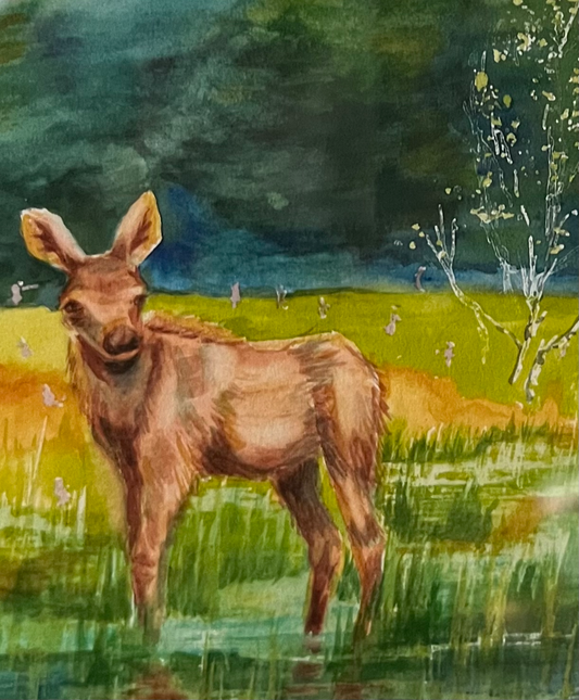 Moose Calf Surprise, Watercolor Print, (mat not included)