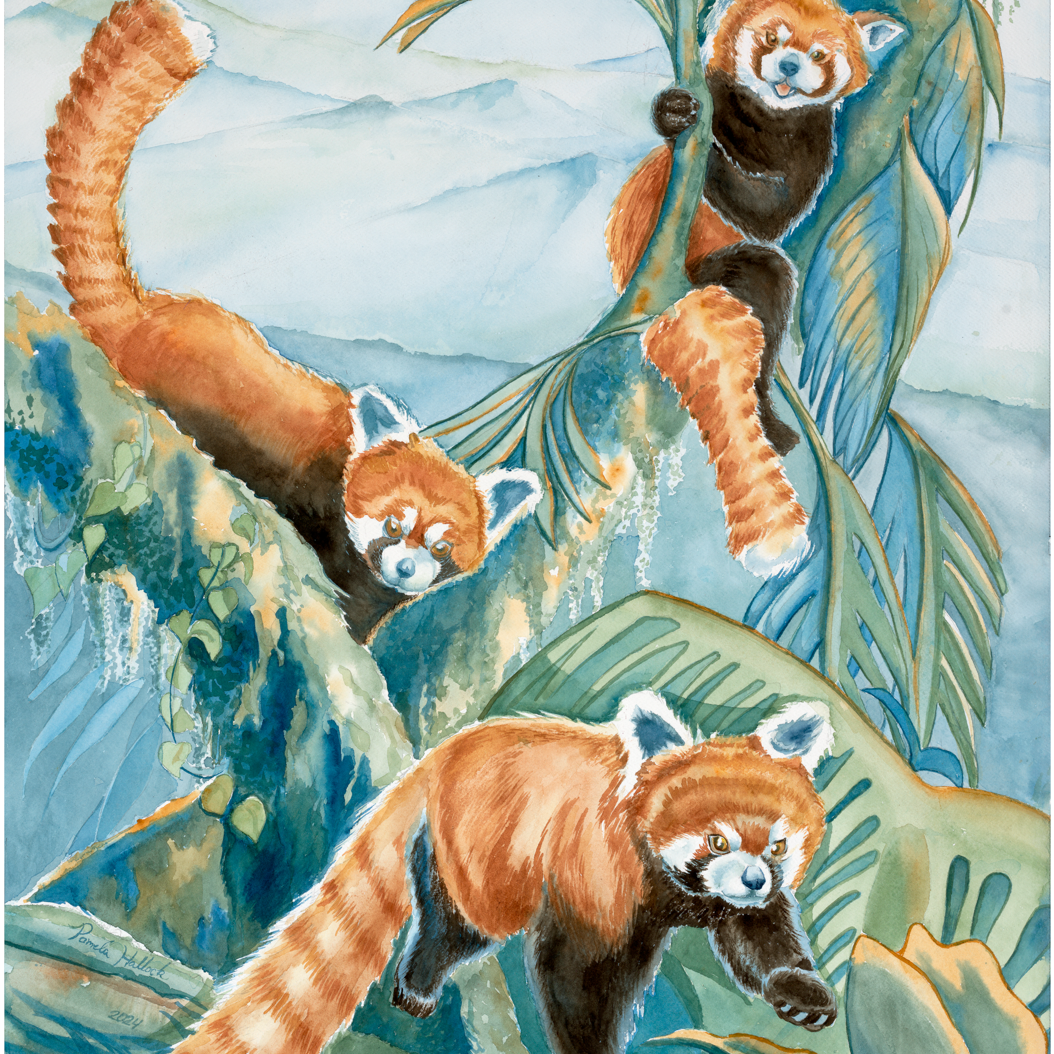 Red Pandas, Watercolor Print
