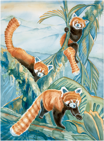 "Red Pandas" – Zoo Animal Collection Watercolor Print | Fine Art by Pamela Hallock