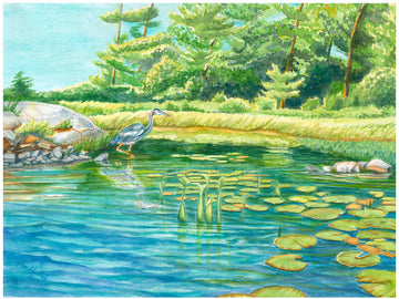 "Blue Heron", Blue Heron at Frog Bay Watercolor Print | Georgian Bay Art