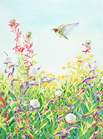 "Ruby-Throated Hummingbird", Watercolor Print | Botanical Art