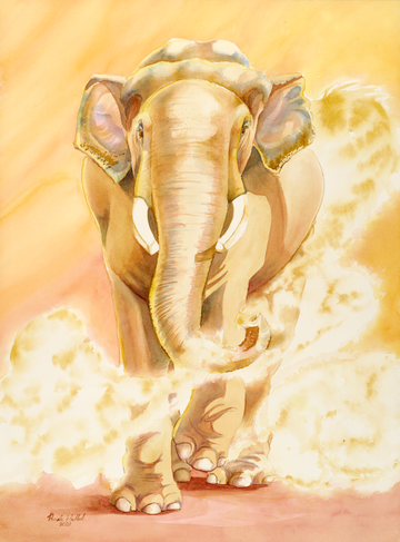 "Sabu", Asian Elephant Watercolor Print | Cincinnati Zoo Art