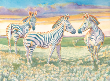 "Vern, Earl & Stewart Cincinnati Zoo”, Zebra Brothers Watercolor Print