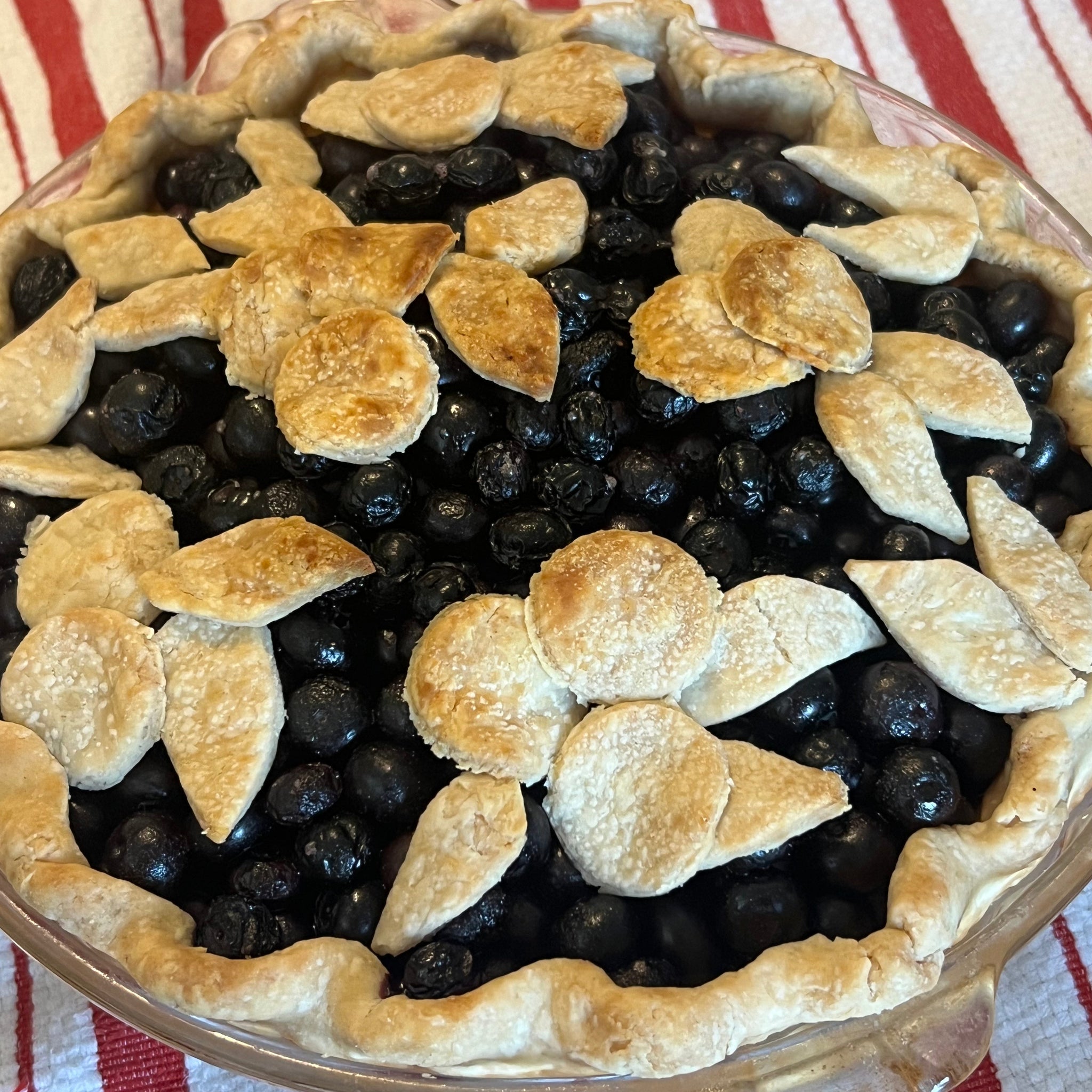 From Oven to Easel: Baking Blueberry Pie and the Inspiration Behind “Three Pies Cooling”