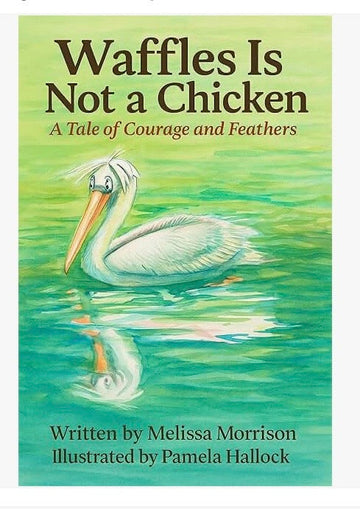 Meet Waffles: From Zoo Sketchbook to Amazon Top New Release