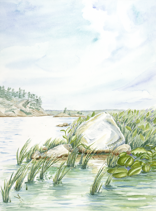 Watercolor print of windswept pines on granite shoreline at Georgian Bay with blue water and sky by artist Pamela Hallock.