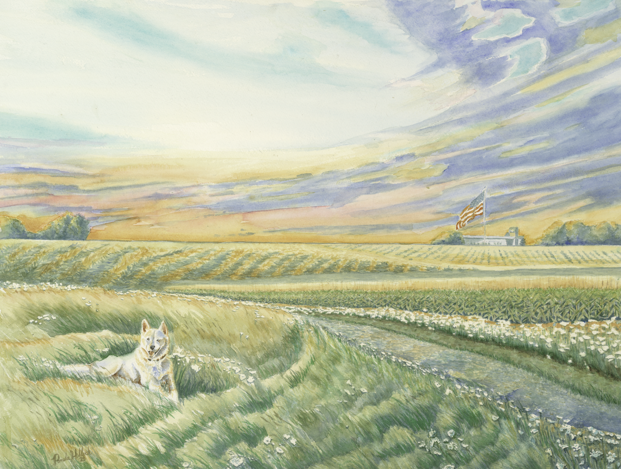 Midwest Corn Fields, Watercolor Print
