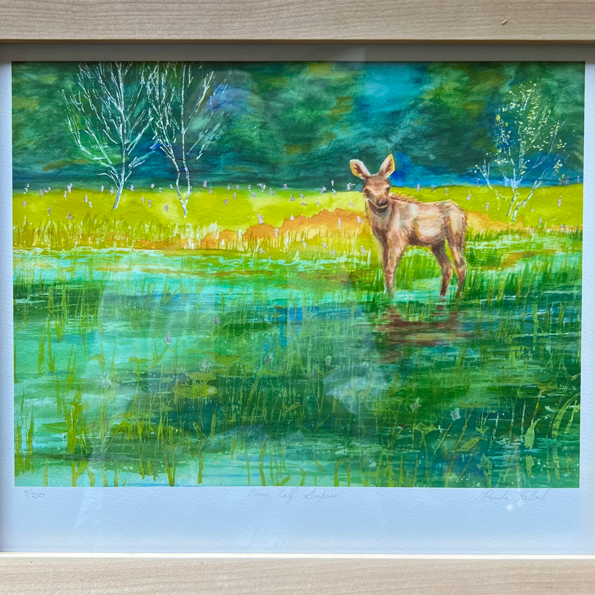 Moose Calf Surprise, Framed Fine Art Print (without a top)