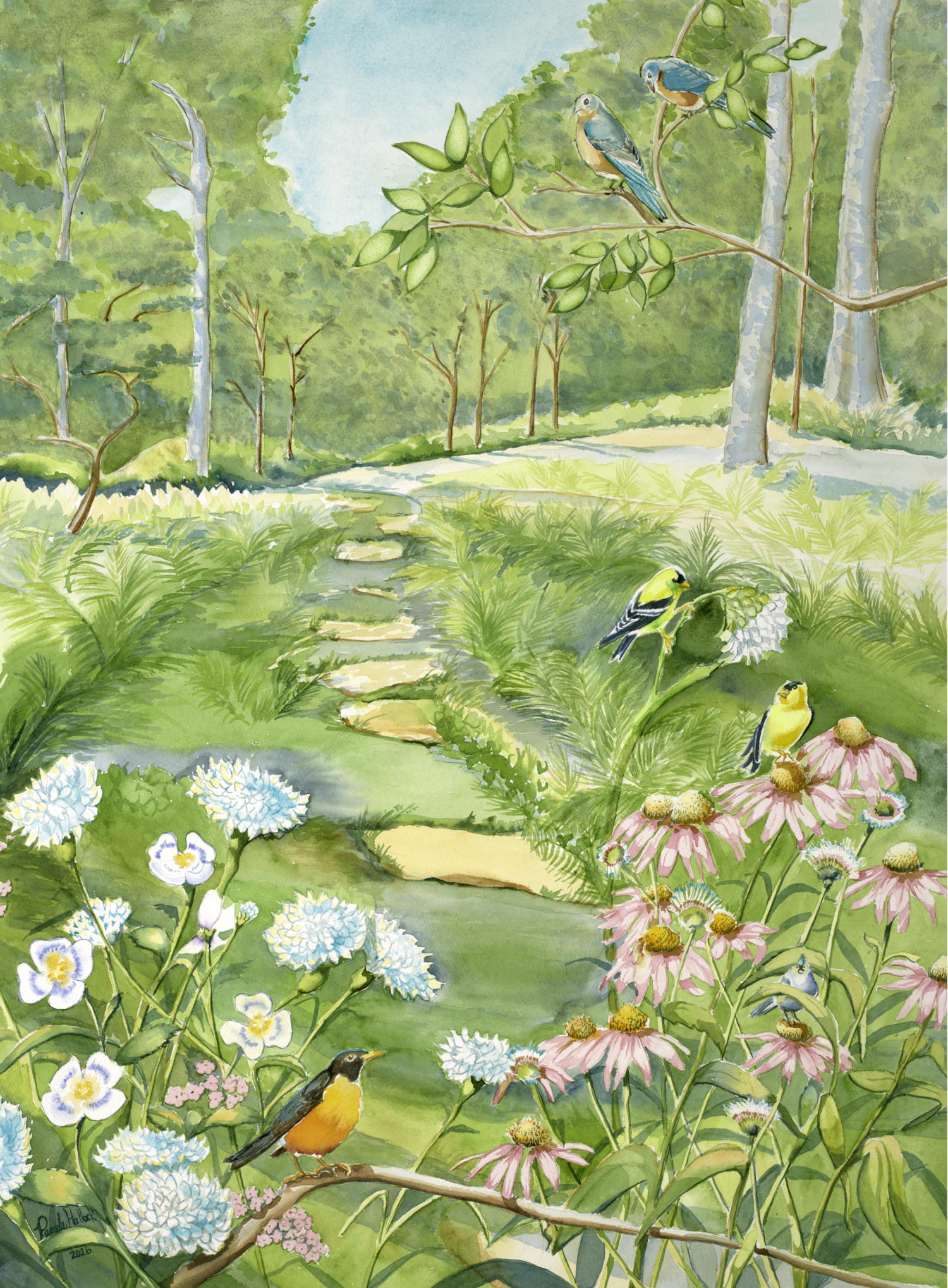 Midwest Garden watercolor by Pamela Hallock featuring a robin, goldfinches, bluebirds, a titmouse, pink coneflowers, white poppies, and summer greenery.