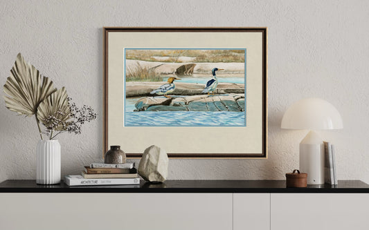 "Mr. and Mrs. Merganser", Outer Shoals Watercolor Print | Georgian Bay Lake Huron Art