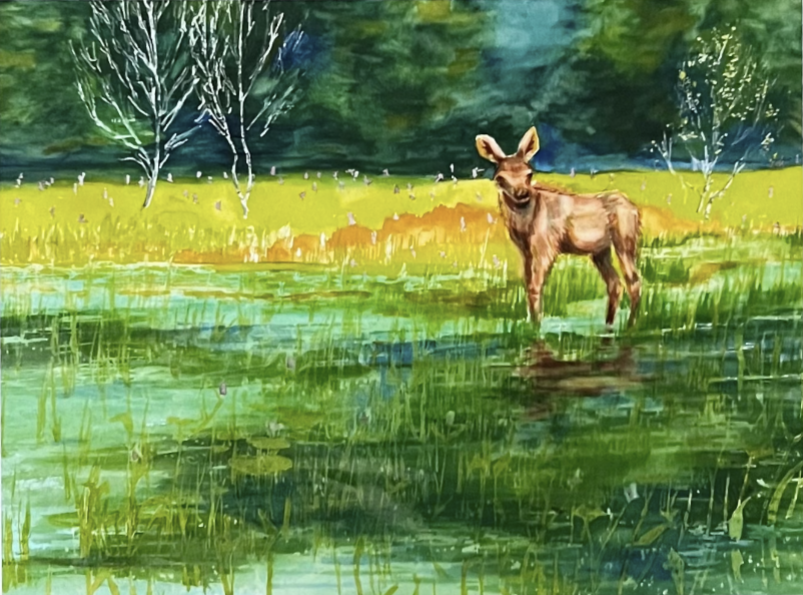 Moose Calf Surprise | Watercolor Wildlife Art Print by Pamela Hallock