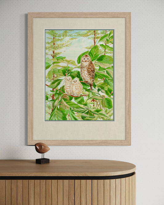 "Barred Owl and Owlets", Watercolor Print | Woodland Bird Fine Art
