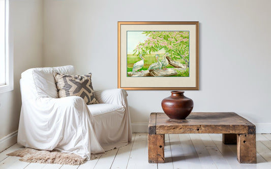 "Pink Backed Pelicans", Watercolor Print | Cincinnati Zoo Art