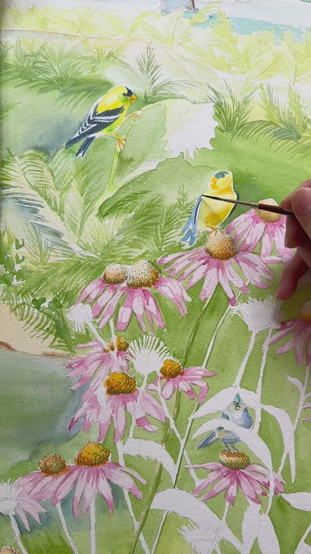 Watercolor painting process for Midwest Garden with birds and summer flowers