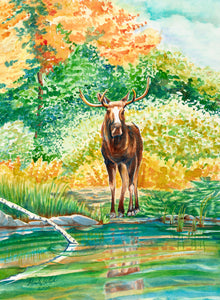 Bull Moose, watercolor print
