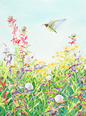 Ruby-Throated Hummingbird, watercolor print
