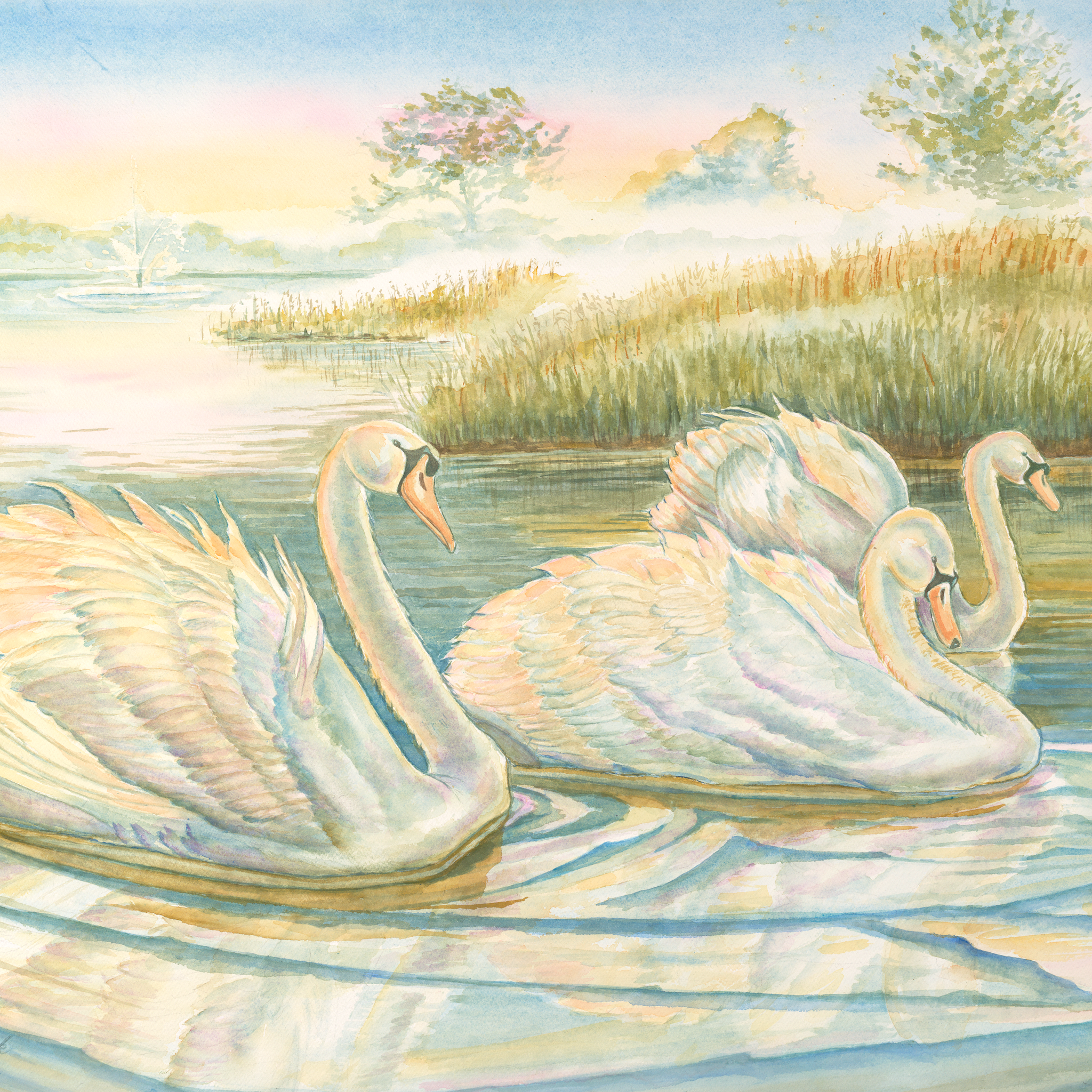 Swan Lake, Cincinnati Zoo and Botanical Garden, Watercolor Print