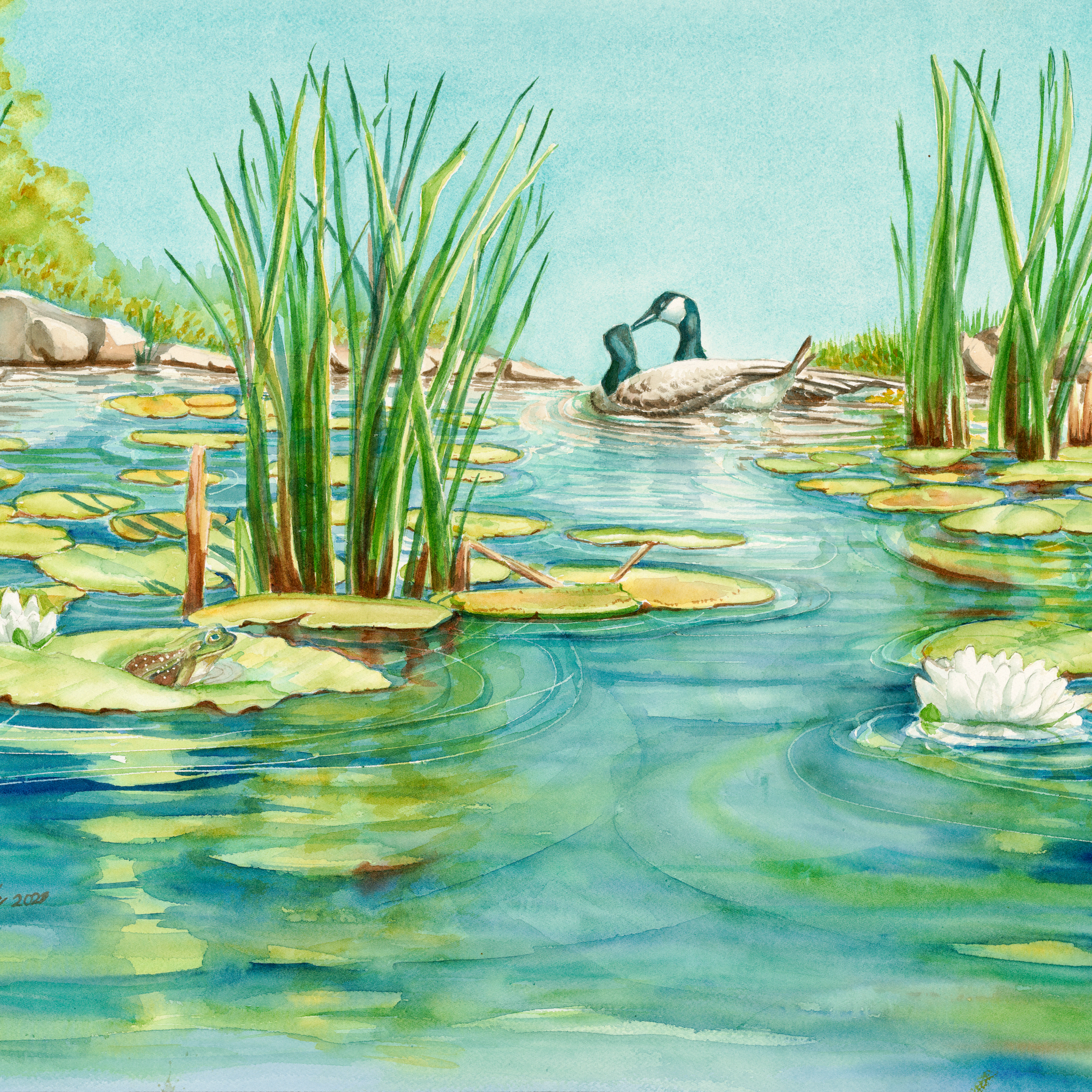 Water's Edge, Watercolor Print